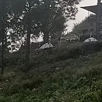 Nainital Adventure Park & Resort