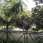 Green Resort Jim Corbett