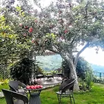 The Swiss Village Resort