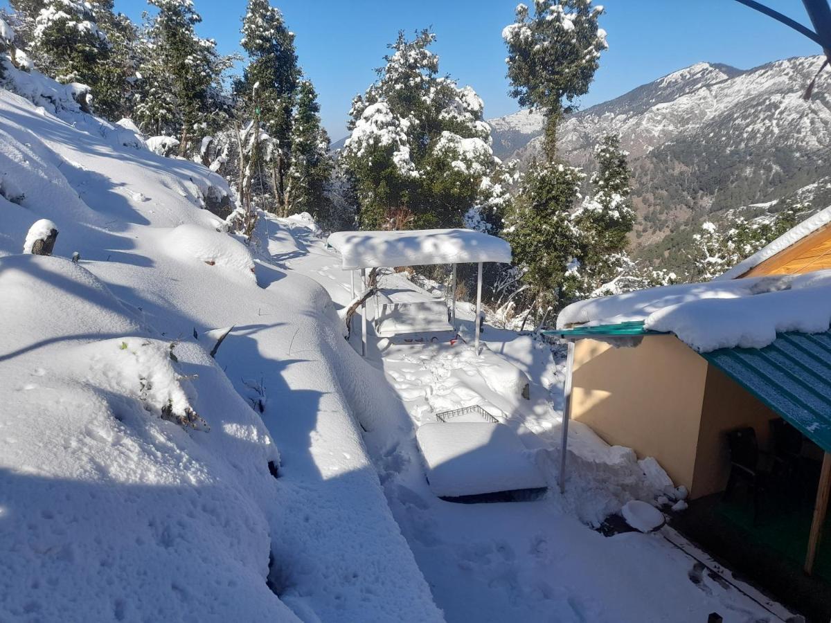 Chiraiyya Pangot * Nainital