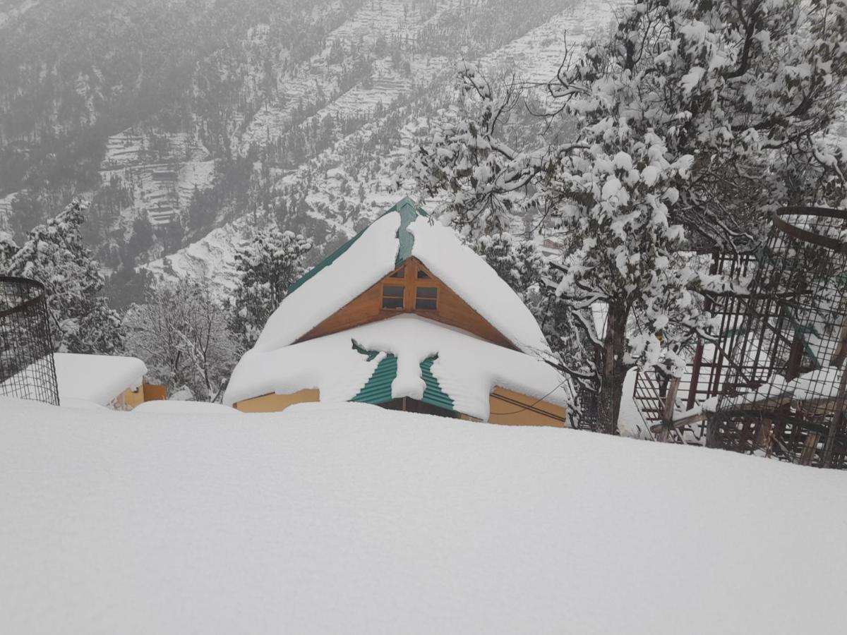 Chiraiyya Pangot * Nainital