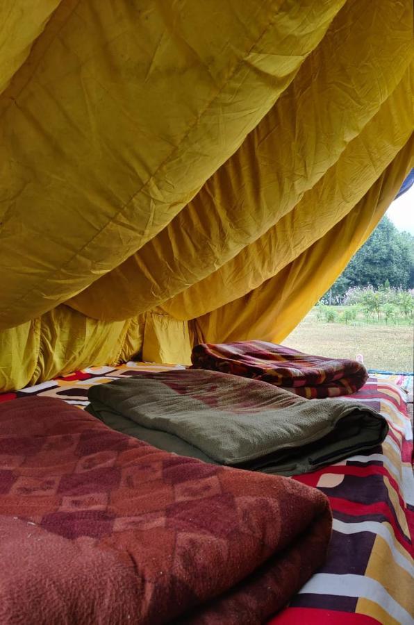 Campsite Camp Wildland & Nainital
