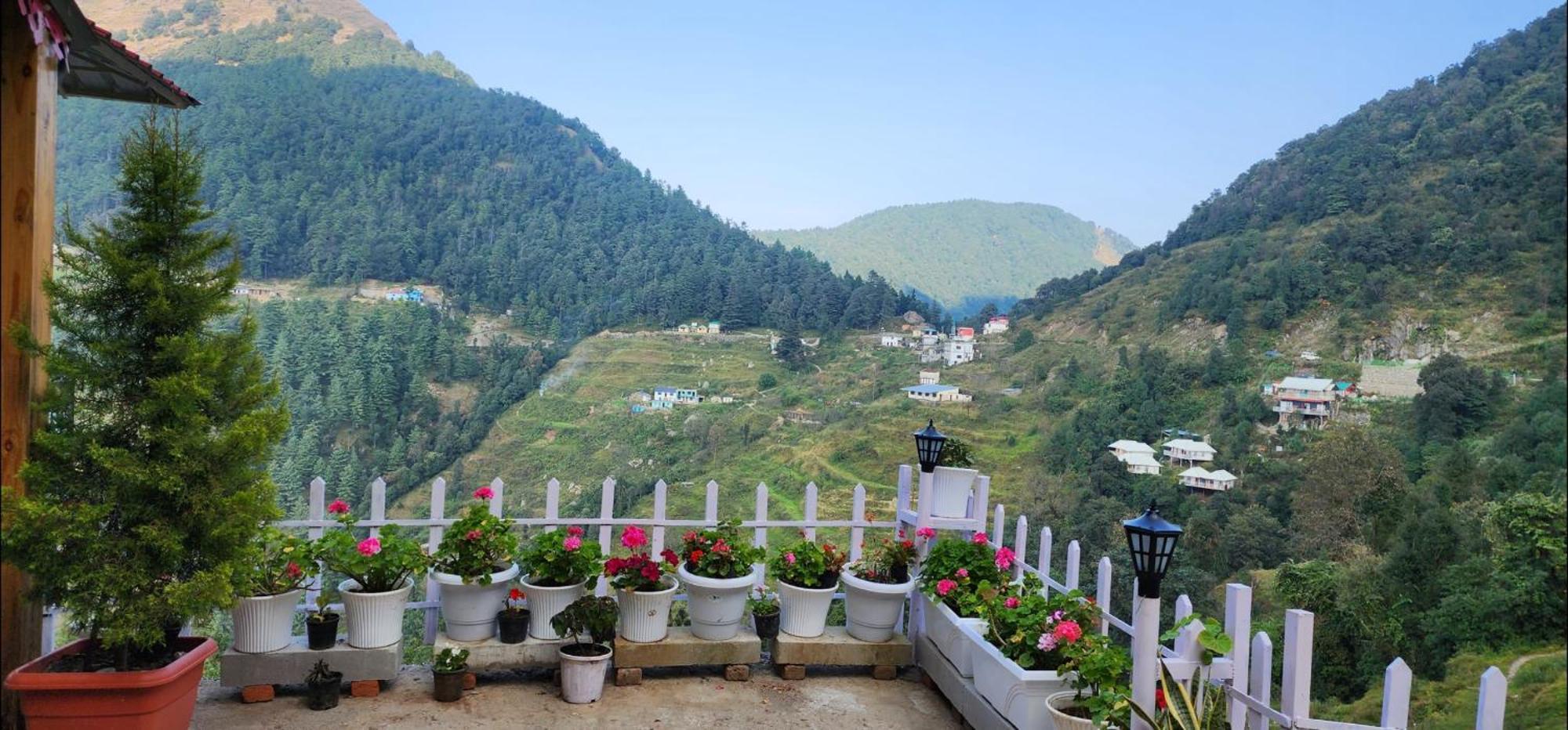 Campsite The Mystic Pines Nainital