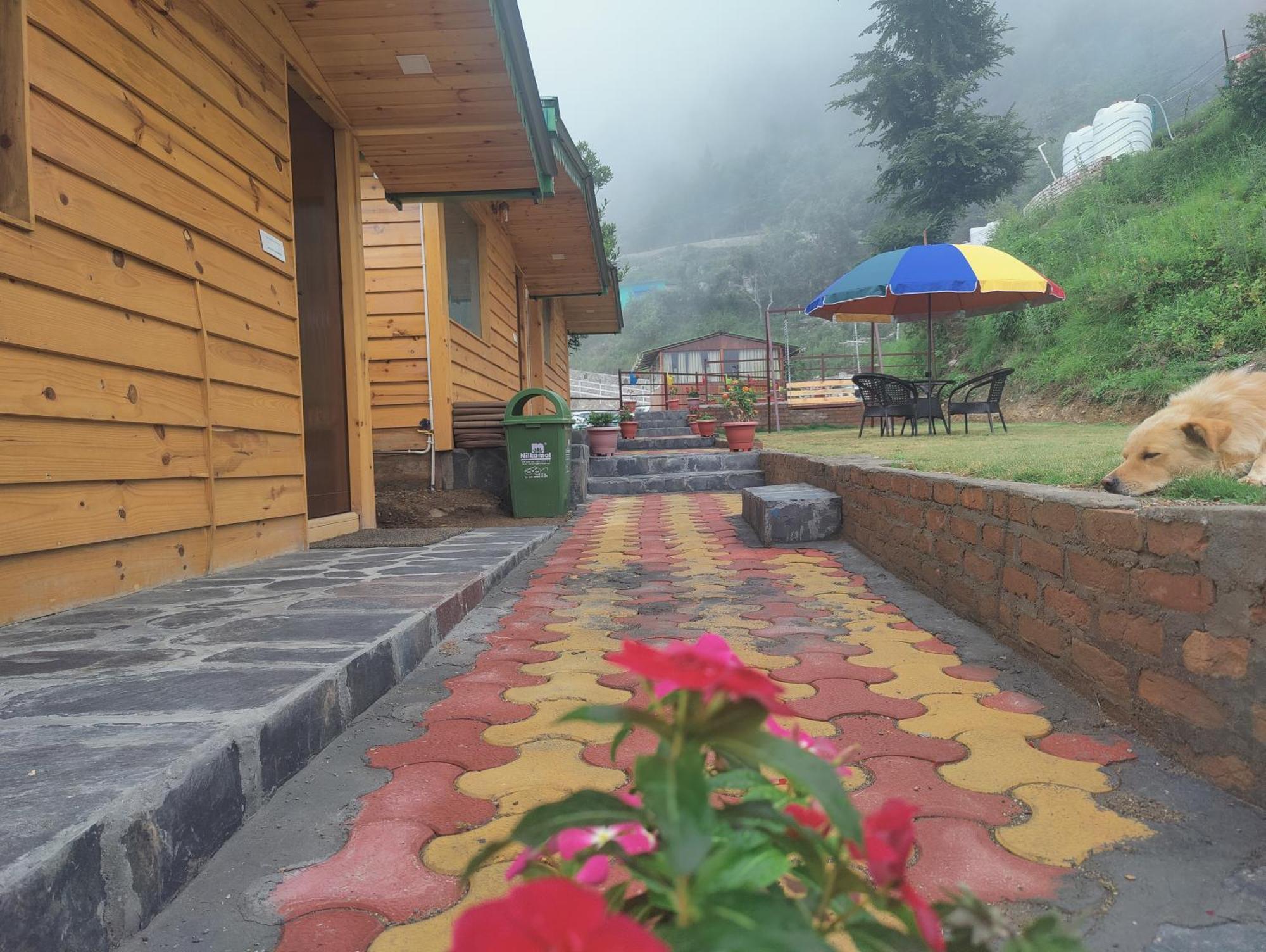 Laserene The Resort