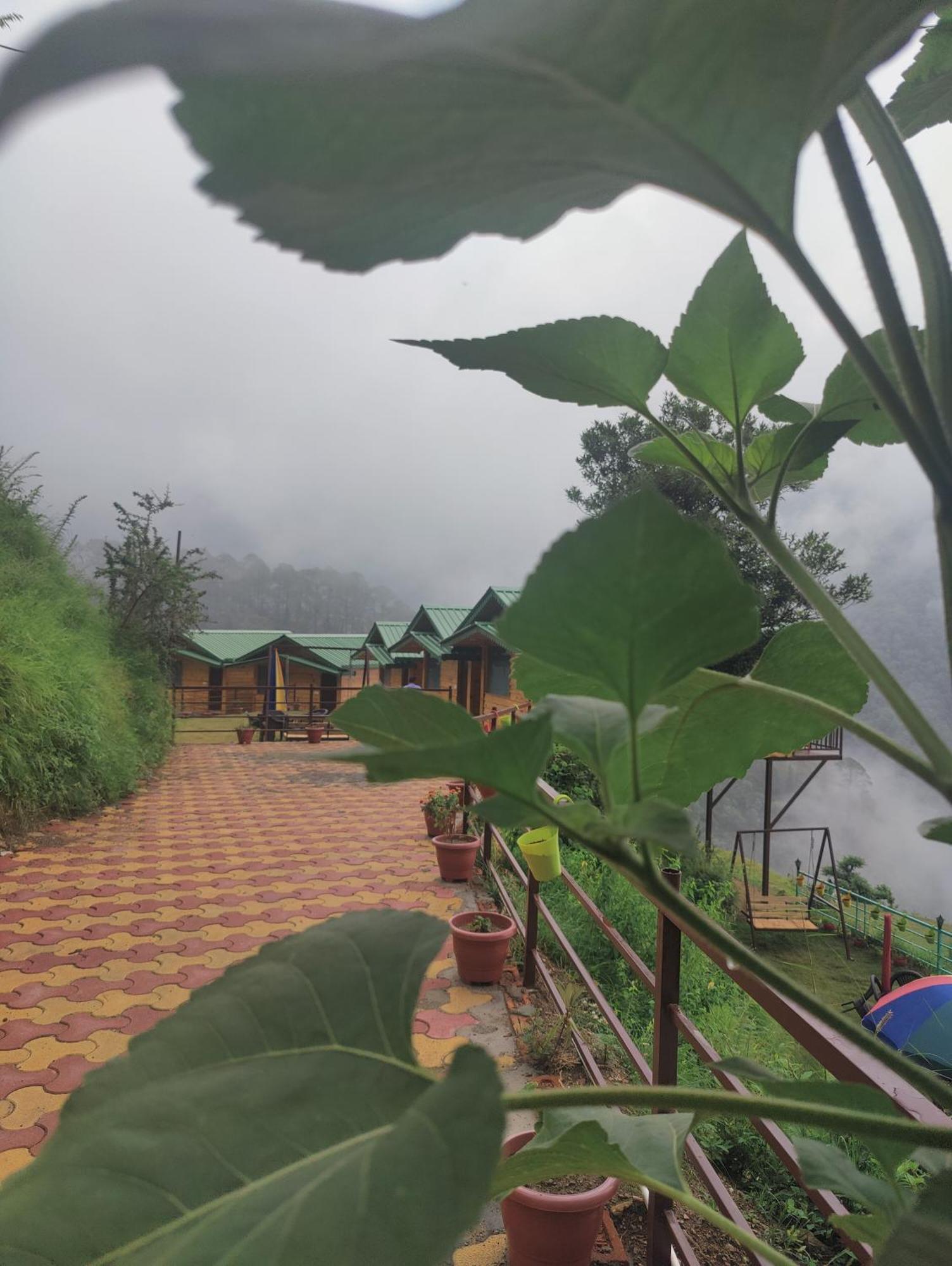 Laserene The Nainital
