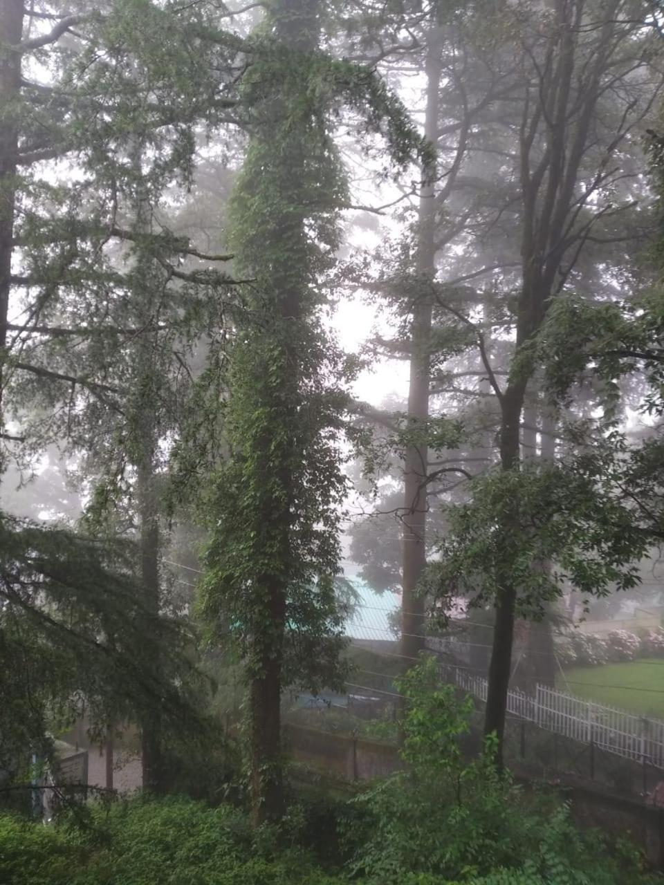 Bhawani Kutir Nainital