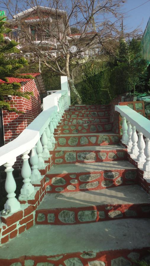 Niharika Palace 3* Nainital