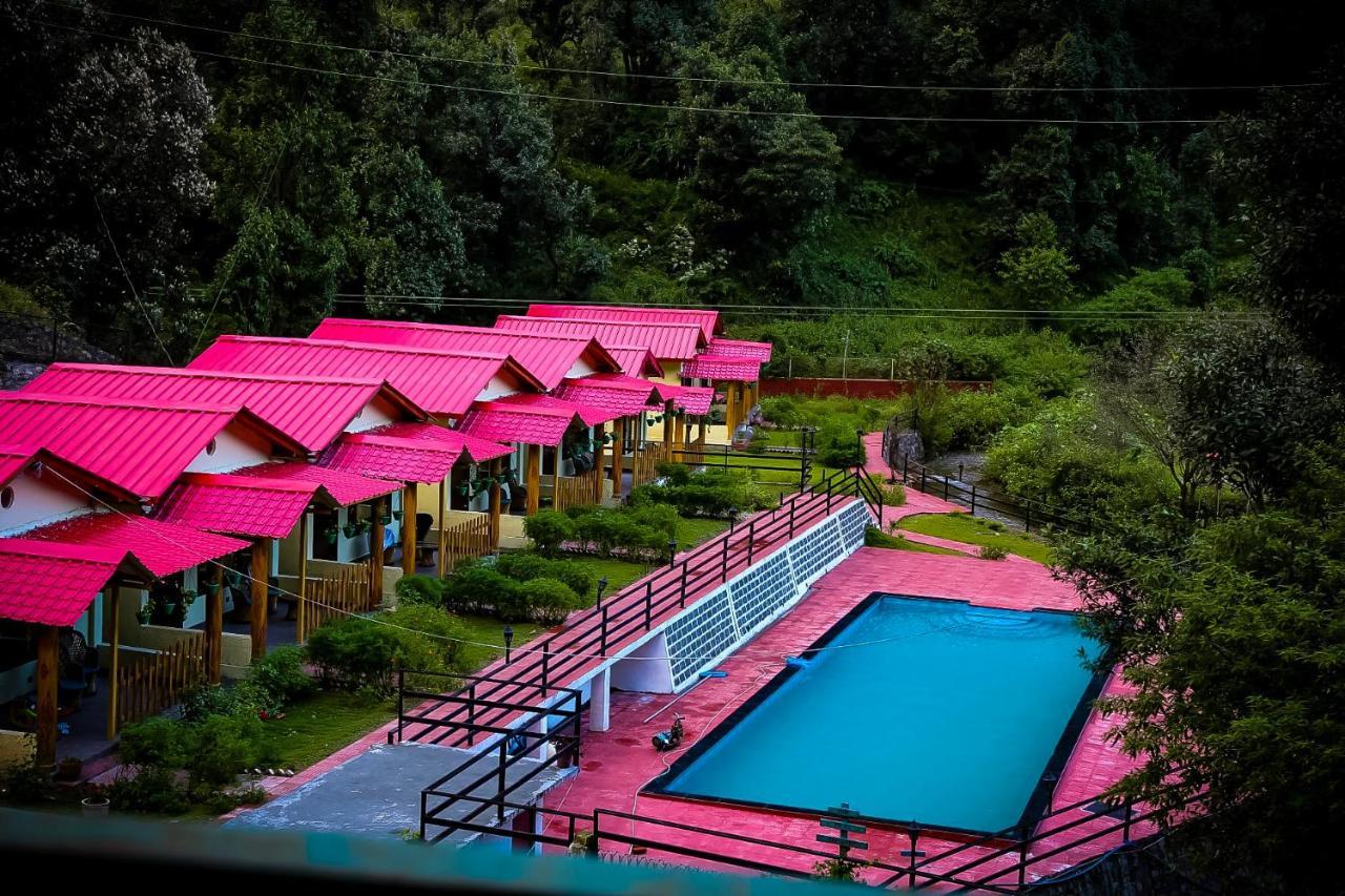 The Jungle Pool By Beyond Resort