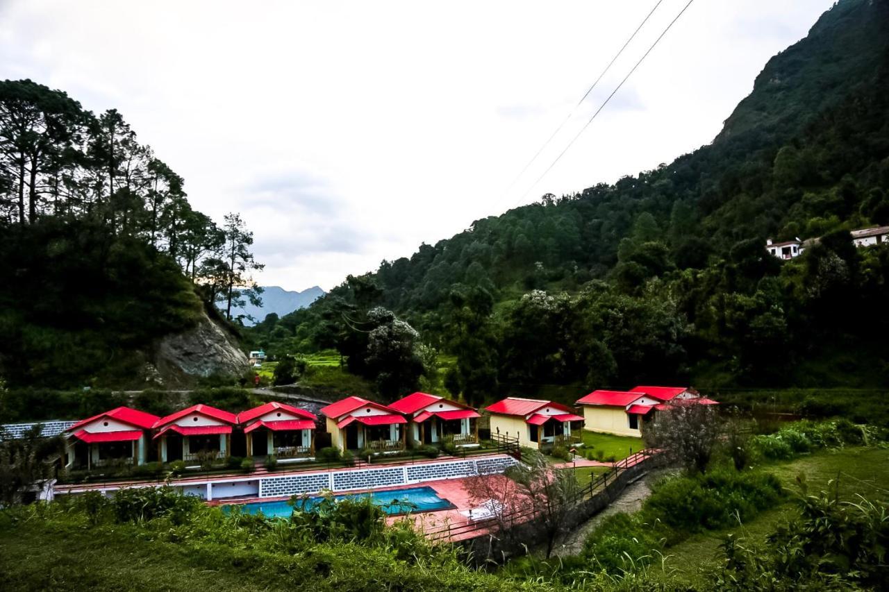 Resort The Jungle Pool By Beyond *
