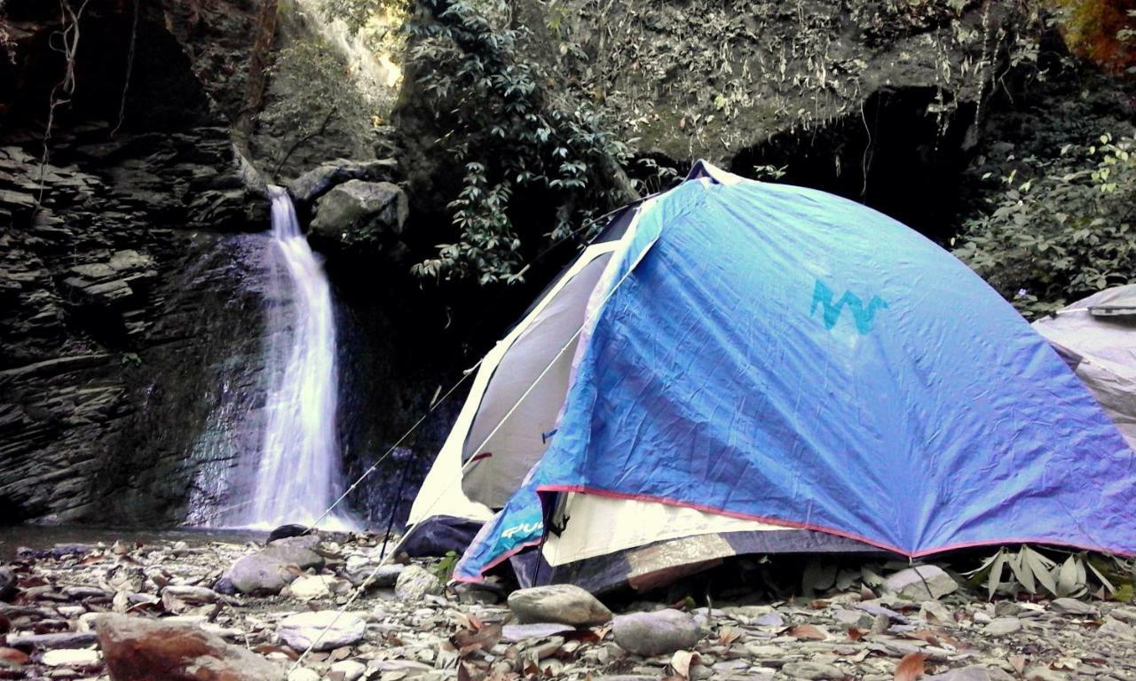 Campsite Camp Wildland &