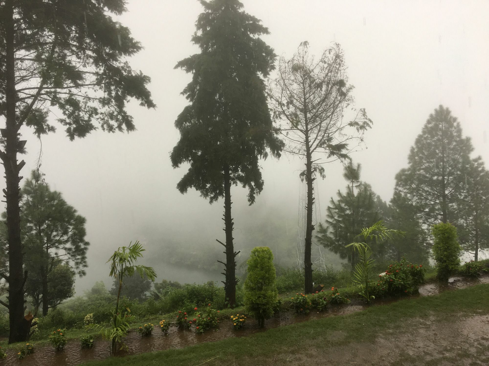 Resort Adventure Park & Nainital