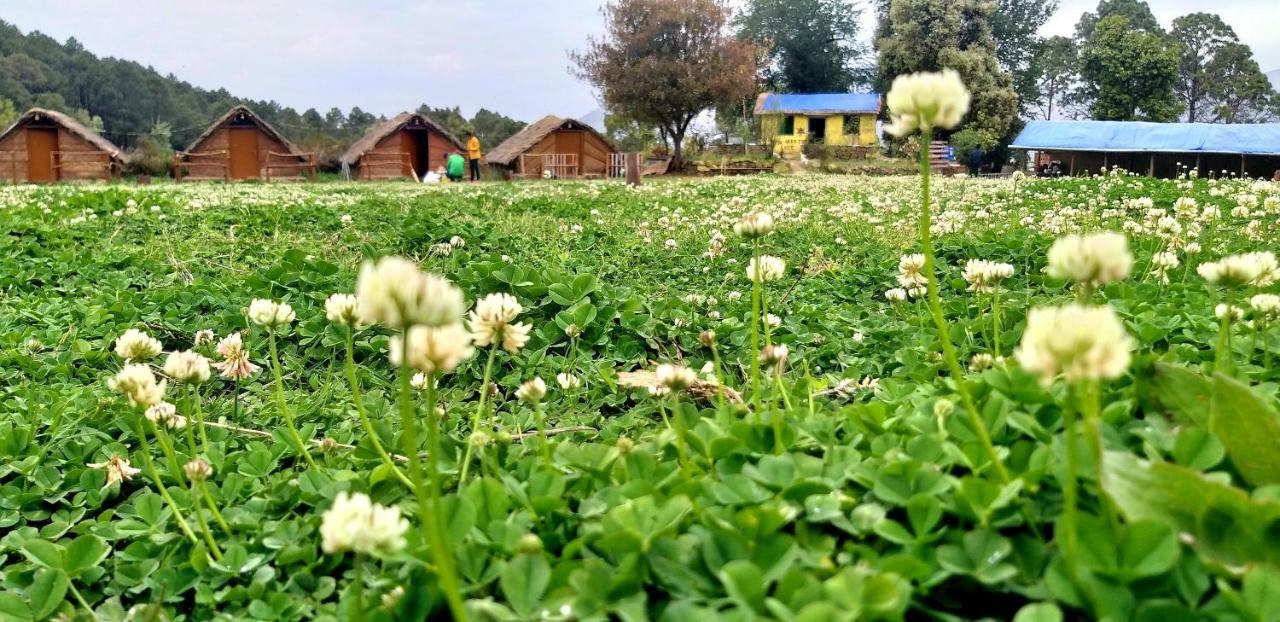 Camp Wildland & Campsite Nainital
