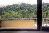 Treebo Cloud 7 Hotel Nainital