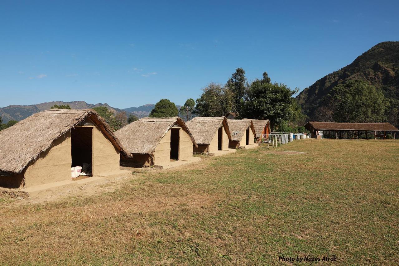 Camp Wildland & *